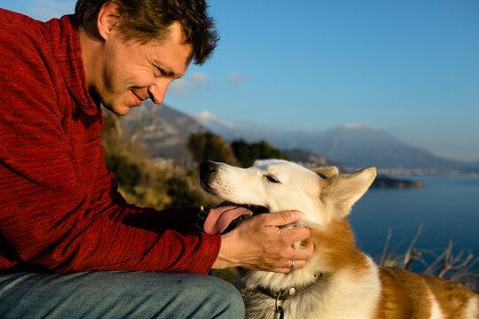 Happy dog