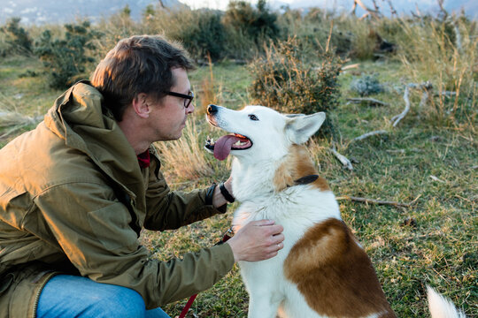 Person and eskimo dog in mountains