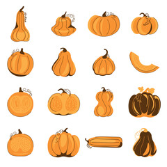 Pumpkin flat icons, thanksgiving farm harvest pictogram, Simple pumpkin cartoon colorful icon symbol isolated white vector illustration