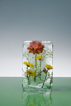 Beautiful flowers and leaves frozen in ice block.