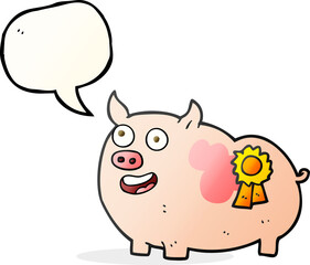 speech bubble cartoon prize winning pig
