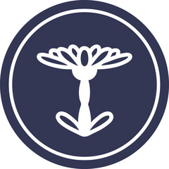 blooming flower circular icon