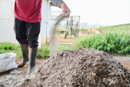 Man pouring lime on compost