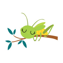 Cute green grasshopper sleeping on tree branch. Funny insect in its everyday activities cartoon vector illustration