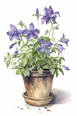 Naklejka na ściany i meble Botanical Watercolor Illustration of Bellflower in Pot. Generative AI