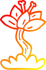 warm gradient line drawing cartoon lilly flower
