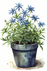 Botanical Watercolor Illustration of Blue Star in Pot. Generative AI