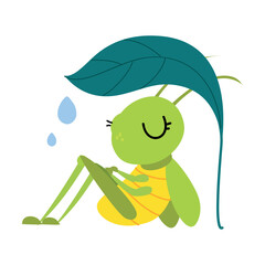 Cute grasshopper sitting under green leaf hiding from rain. Funny insect in its everyday activities cartoon vector illustratio