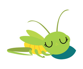 Cute green sleeping grasshopper. Funny insect in its everyday activities cartoon vector illustration