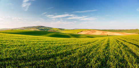 Fototapeta na wymiar Gorgeous undulating green fields and cultivated land on a sunny day. South Moravia region, Czech Republic, Europe.