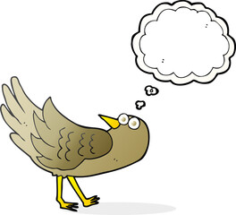 thought bubble cartoon bird