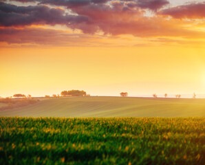 The evening sun illuminates the agricultural fields. South Moravia region, Czech Republic, Europe.