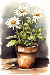 Botanical Watercolor Illustration of Daisy in Pot. Generative AI