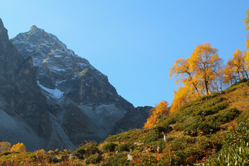 Fototapeta premium landscape with high mountains