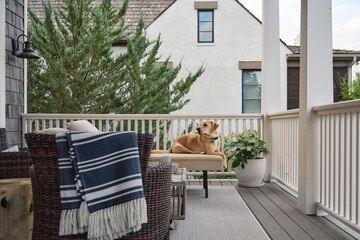 Dog sitting on a daybed, looking out over the rails of a porch