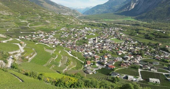 aerial view of terraced vineyards in Switzerland daylight