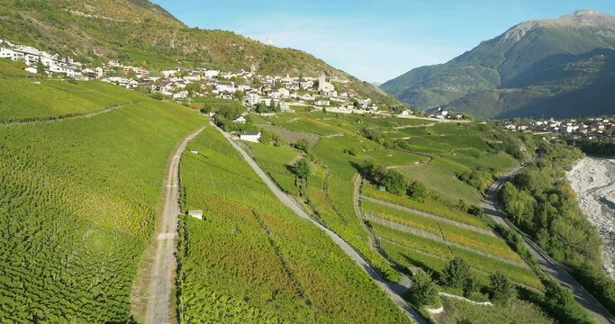 aerial view of terraced vineyards in the swiss Valais canton