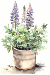 Botanical Watercolor Illustration of Lupin in Pot. Generative AI