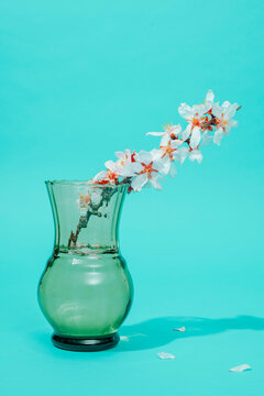 blossoming almond branch in a glass vase