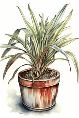 Botanical Watercolor Illustration of New Zealand Flax in Pot. Generative AI