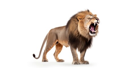 Obraz premium A lion with its mouth open and it's mouth wide open created with Generative AI technology