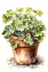 Botanical Watercolor Illustration of Pachysandra in Pot. Generative AI