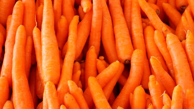 Fresh clean carrots on shelf in farmer market