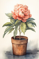 Botanical Watercolor Illustration of Peony in Pot. Generative AI