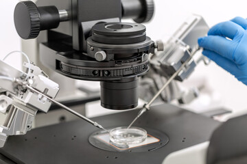 Process of in vitro fertilization in laboratory