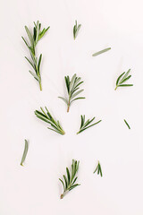 Fresh green rosemary leaves isolated on white background