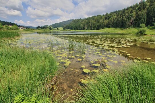 Lac tourbi&egrave;re de Bellefontaine