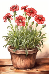 Botanical Watercolor Illustration of Sweet William in Pot. Generative AI