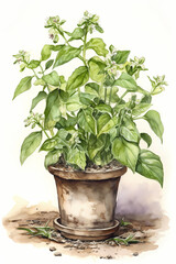 Botanical Watercolor Illustration of Tobacco Plant in Pot. Generative AI