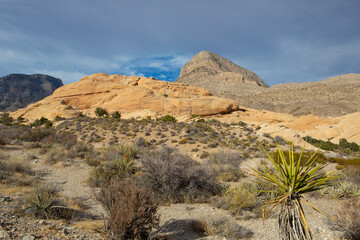 Red Rock Canyon Las Vegas Park