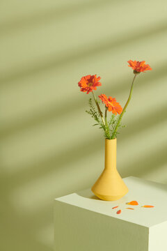 Subject shot of a yellow ceramic vase with Gerbera flower