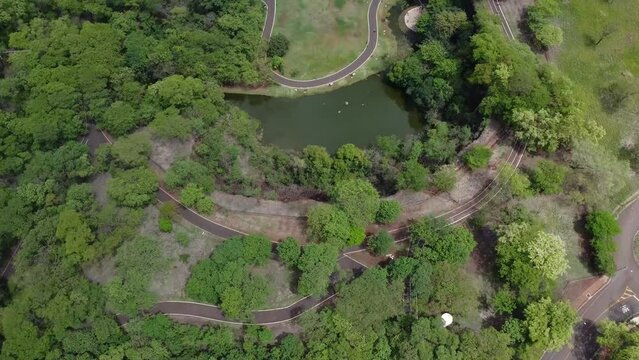 Parque Luiz Roberto Jabali - Curupira