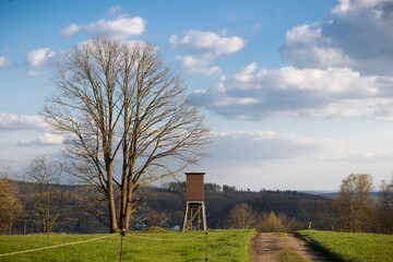 Landschaft mit Hochsitz Baum und Weg im Frühling © Harlekin-Graphics