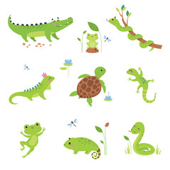 Happy Green Animals with Turtle, Frog, Snake, Iguana and Chameleon Vector Set