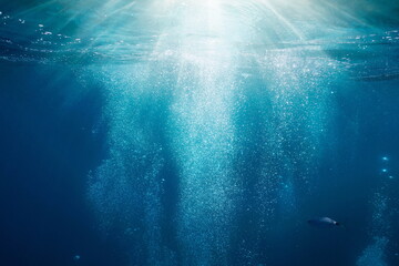 Sunlight underwater with bubbles rising to water surface in the sea, Mediterranean, France - obrazy, fototapety, plakaty