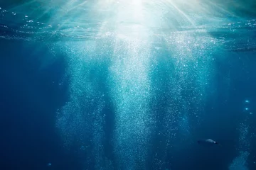  Sunlight underwater with bubbles rising to water surface in the sea, Mediterranean, France © damedias