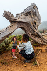 Mother and son visiting the Sabinar trees twisted by the wind of El Hierro. Canary Islands