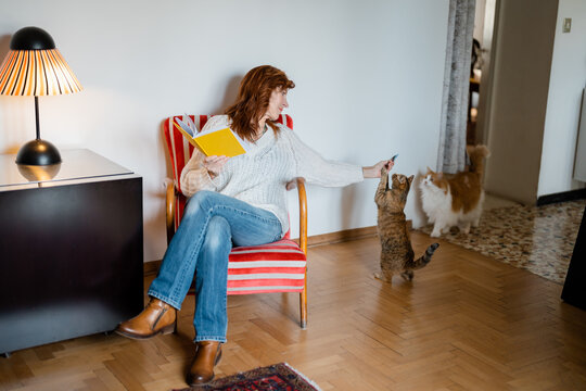 A woman reading a book while her cats are playing