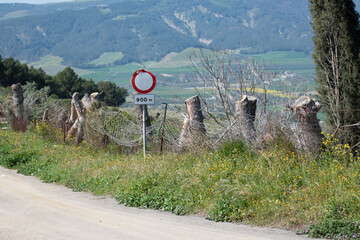 countryside road in southern Italy. horizontal photography 