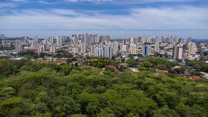 Fototapeta na wymiar Parque Luiz Roberto Jabali - Curupira