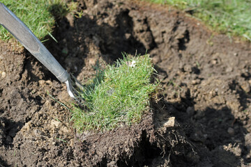 unplanted small low mound bed