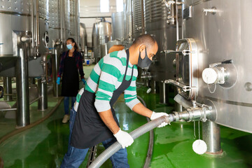 Confident male winegrower working in wine cellar, filtering wine in barrels
