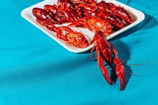 cooked crayfish in a foam tray