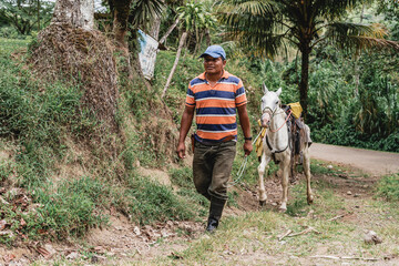Man pulling his mare on the road