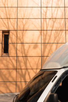 Shadow of the tree on the golden building