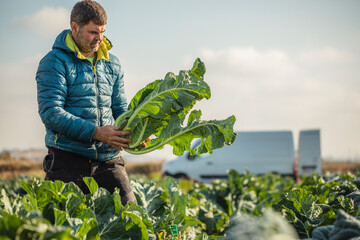 A man ecofarmer working